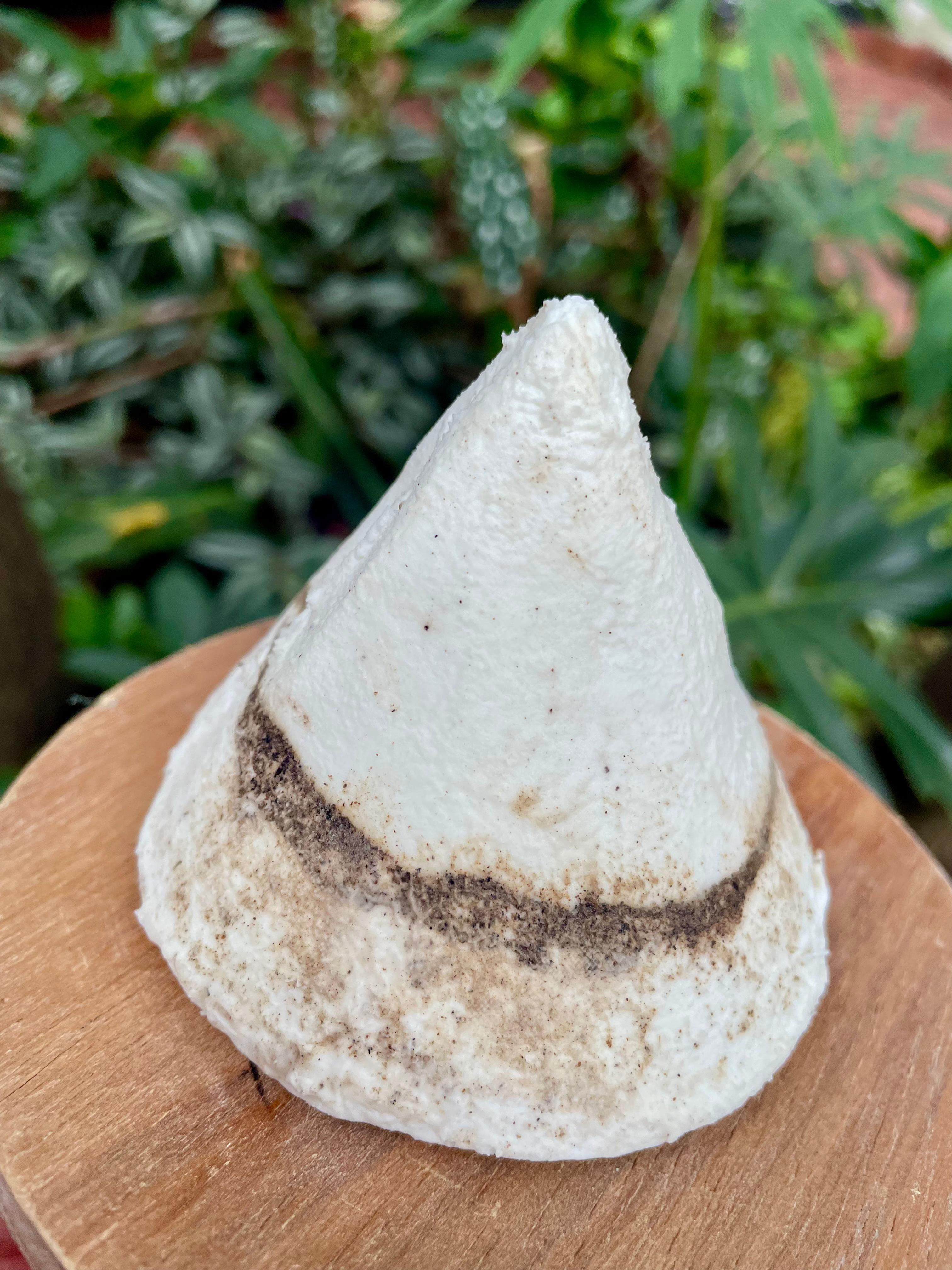 PICO ALTO (CABRA)