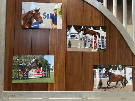 Victoire pour IVI HEALING aussi, avec Dynamite du Miral et Benoît Cernin - une grande joie pour l'équipe