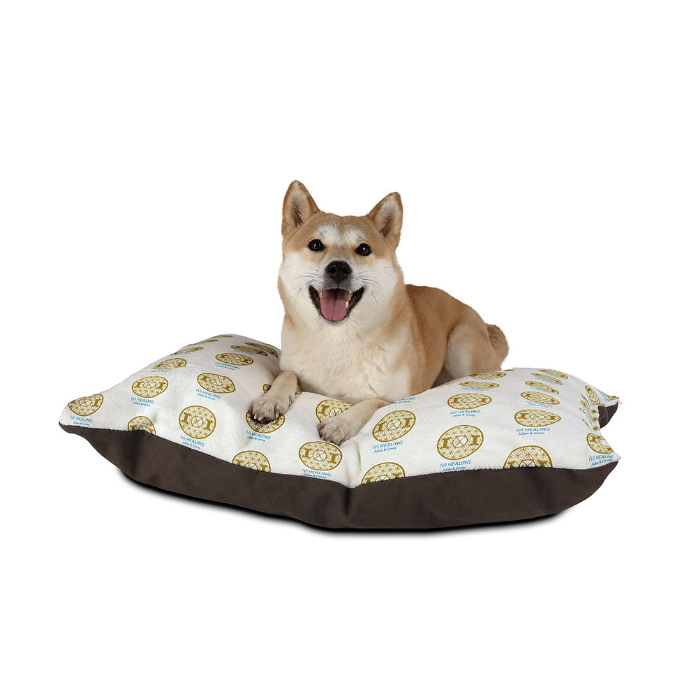 Miniature : Lit en mémoire de forme pour chien IVI HEALING
