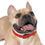 Thumbnail: Collier pour chien rouge - La Nouvelle Arche 