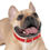Thumbnail: Collier pour chien rouge - La Nouvelle Arche 