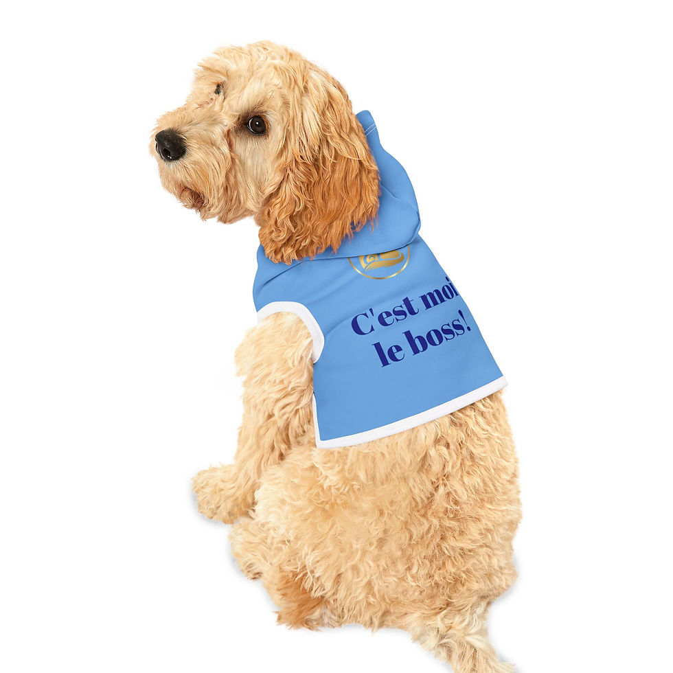 Miniature : C'est Moi Le Boss Pet Hoodie - Stylish Blue Dog Apparel for Trendy Pets