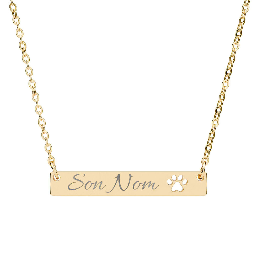 Thumbnail: Le Nom de votre Chat ou Chien, gravé sur un collier or ou argent