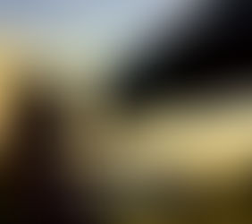 Sortie officielle de notre nouveau livres sur la communication animale: Les Relations Miroir