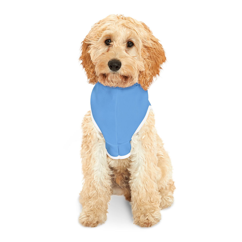 Miniature : C'est Moi Le Boss Pet Hoodie - Stylish Blue Dog Apparel for Trendy Pets