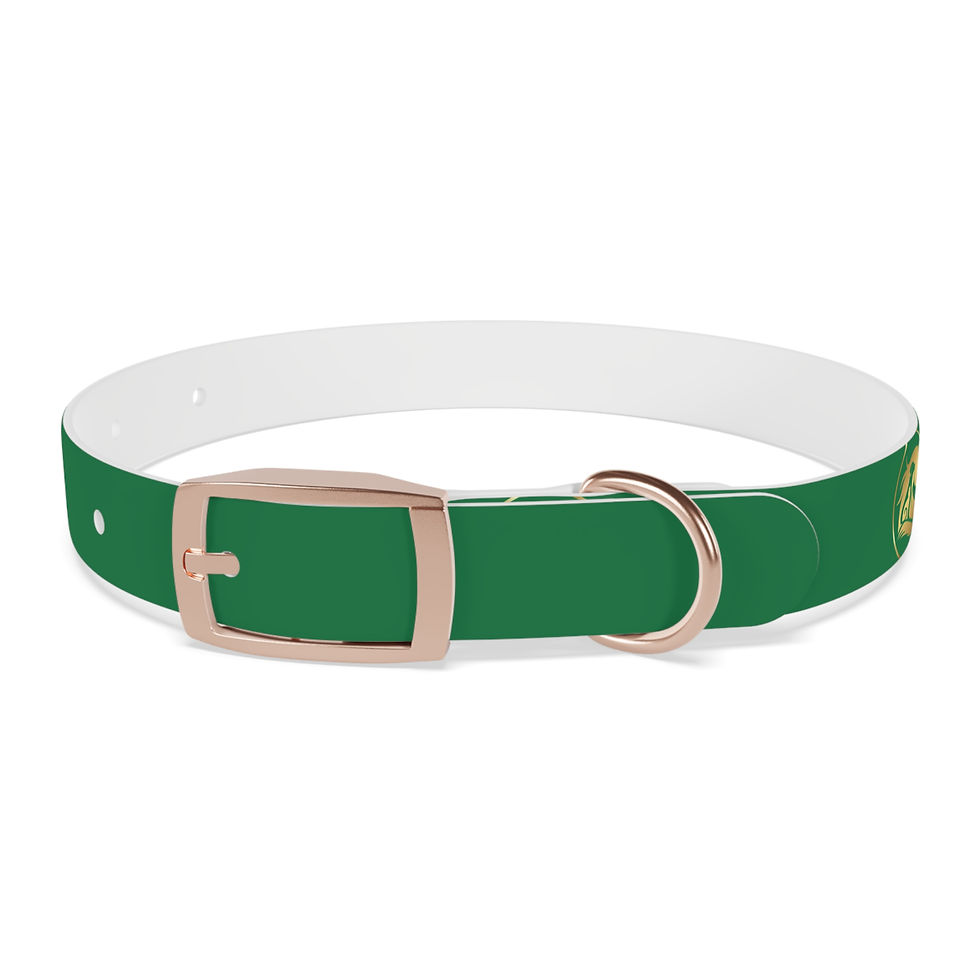 Thumbnail:  Collier pour chien vert - La Nouvelle Arche 