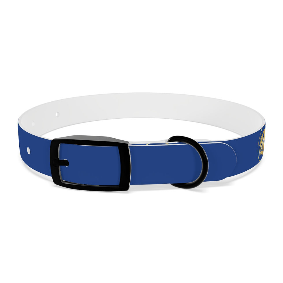 Collier pour chien bleu - La Nouvelle Arche 