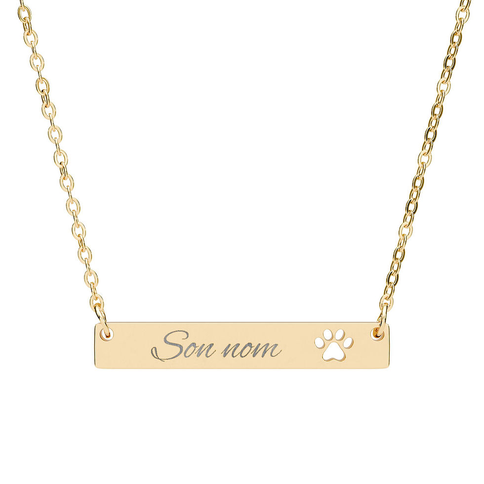 Miniature : Le Nom de votre animal gravé sur un collier