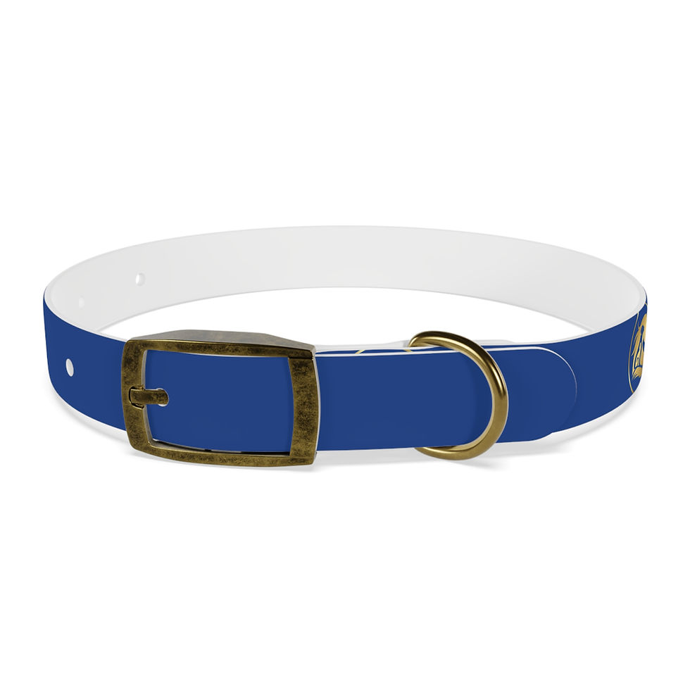 Miniature : Collier pour chien bleu - La Nouvelle Arche 
