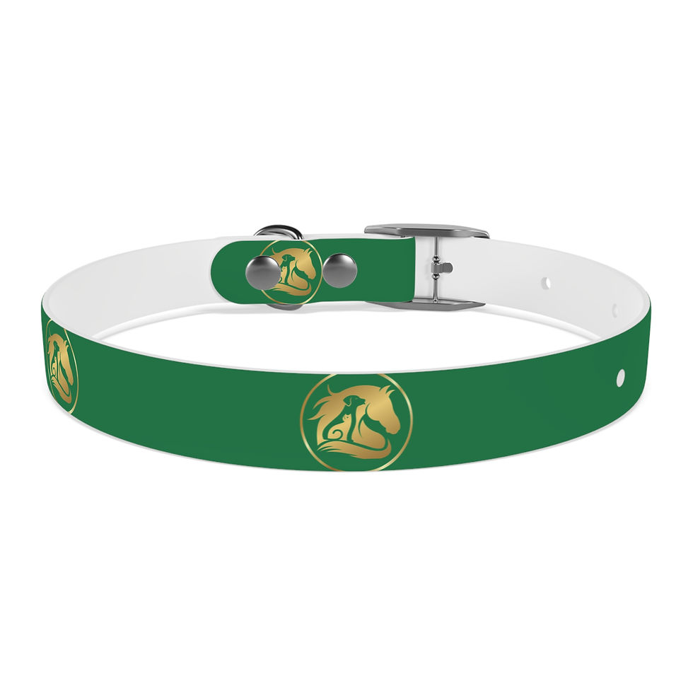 Thumbnail:  Collier pour chien vert - La Nouvelle Arche 