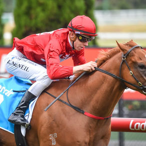Melbourne Cup Challenge Crack 15 ##TOP##