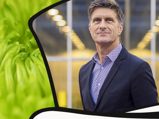 Talks: Peter Zaat - Deliflor Chrysanten