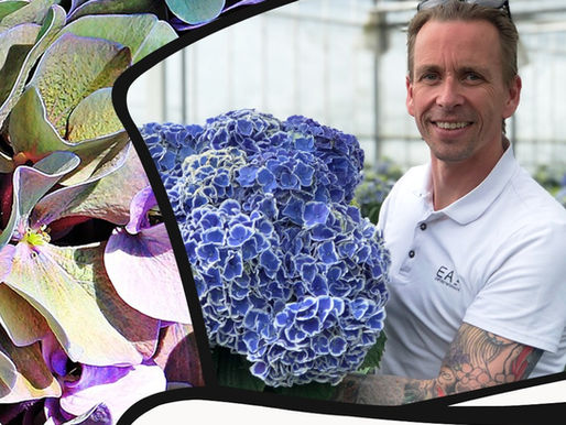 FC Talks: Peter Kuijt (Flowerstud)