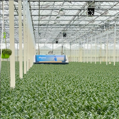 Scherm_afbeelding 2026-05-13 om 12.08.53.png
