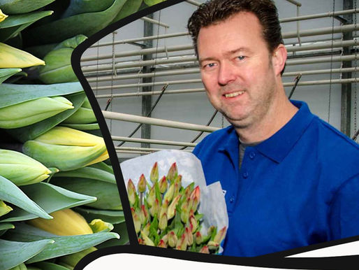 Talks: Jeroen Windt - PolderPride Tulips