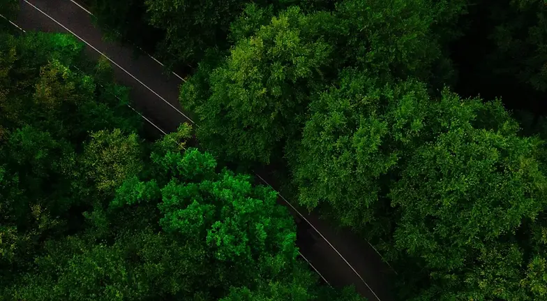 Vue aérienne d'une route traversant une forêt dense