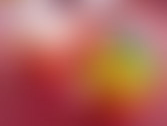 マウイで食べた「激うまアイス」入りかき氷に♥