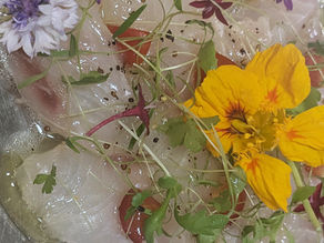 本日のカルパッチョ