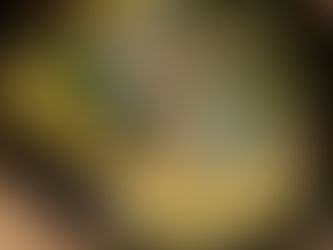 ラクレットチーズ焼き