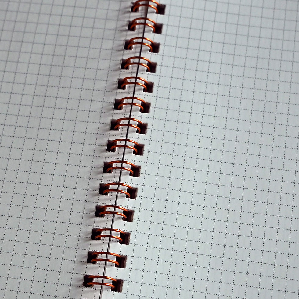 サムネイル： 茶虎ウヰスキー リングノート（方眼）