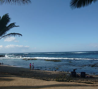 P1020273.JPG