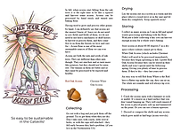 Copy of Acorn Fest flyer and proposal draft.png