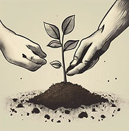 hands planting a sapling tree in the soil, no background color.jpg
