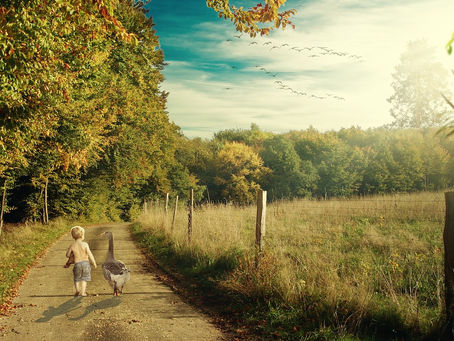 7 of the Best Farm Stays in Europe