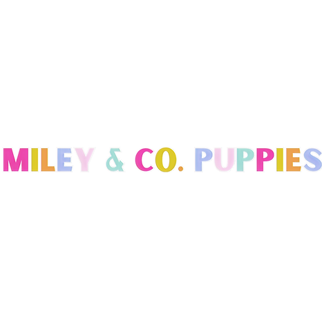 Copy of Miley & Co_edited.png