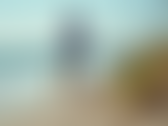 Raising Awareness: Young Adults and Marine Conservation