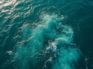 Can We Ever Fully Clean Up the Great Pacific Garbage Patch