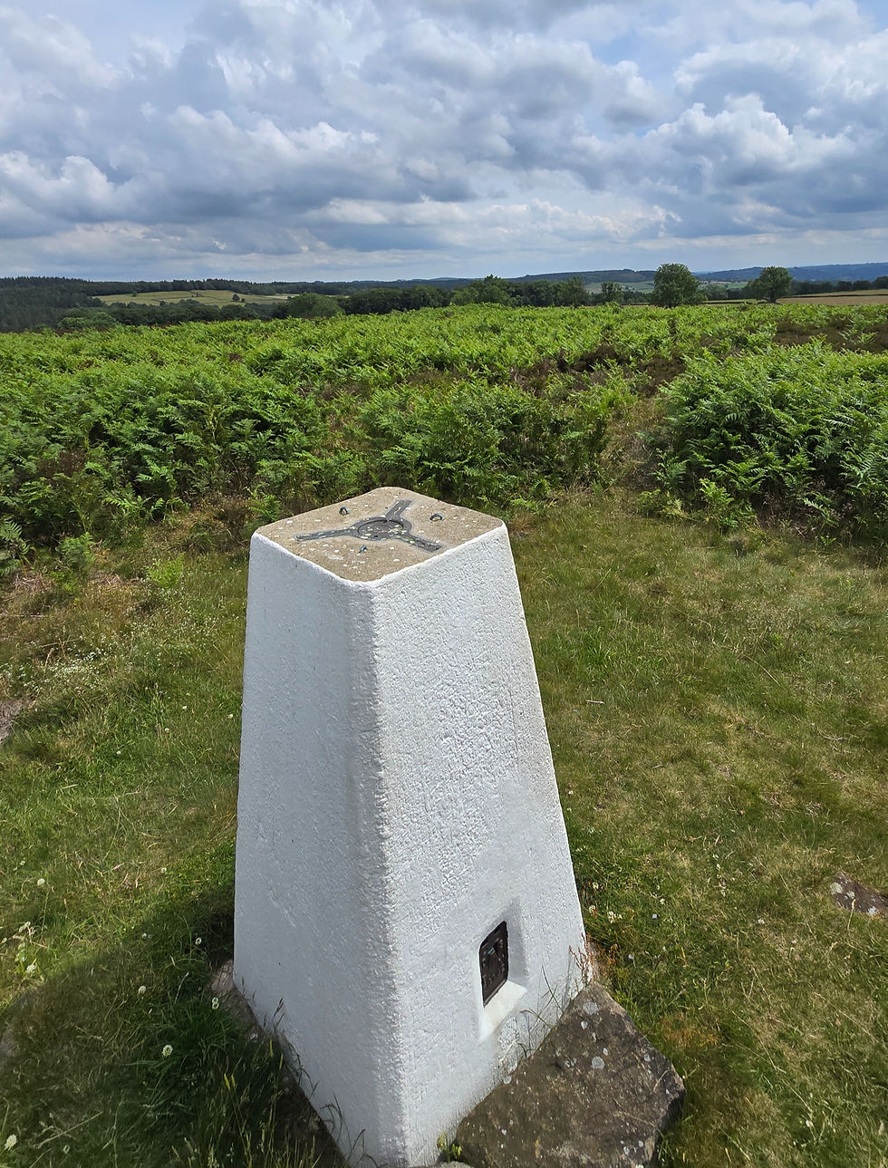 Bumper Castle trig point