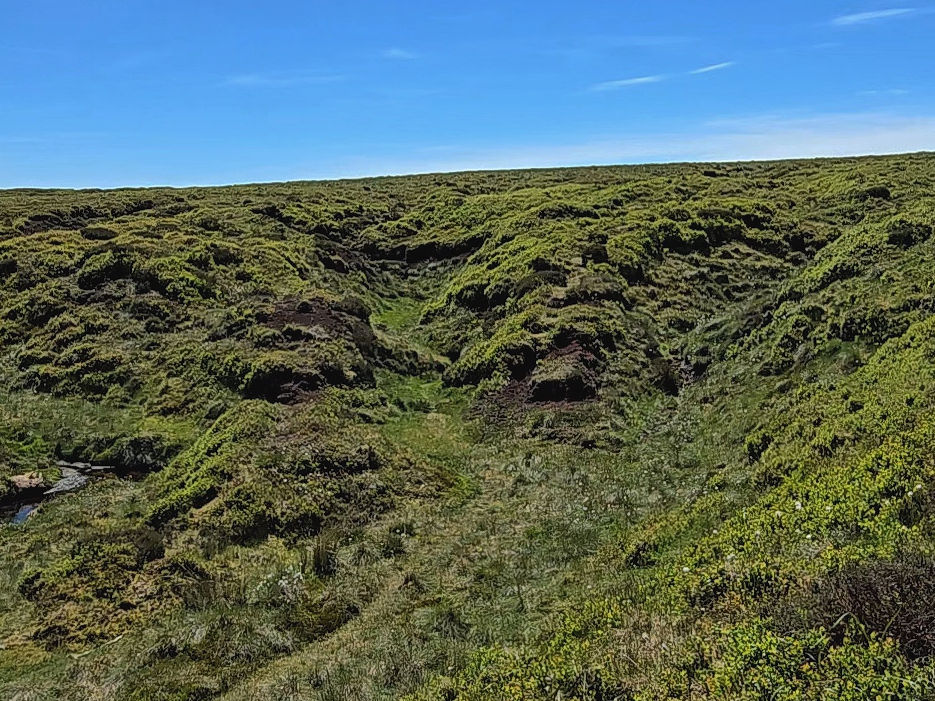 Bleaklow - a maze of groughs where the landscape is the same in any direction