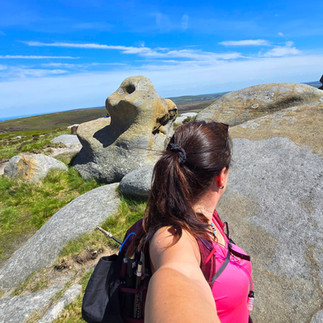 At Bleaklow Stones