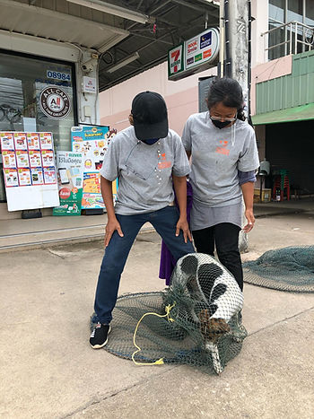 7eleven pups and mum