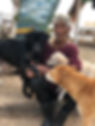 An old village lady bringing her 3 dogs for neutering