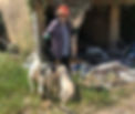 Neutering during Covid 19
