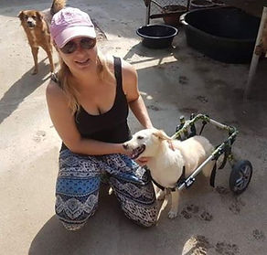One of our volunteers Brooke, is crouching down stroking Peanut, one of our paraplegic dogs.