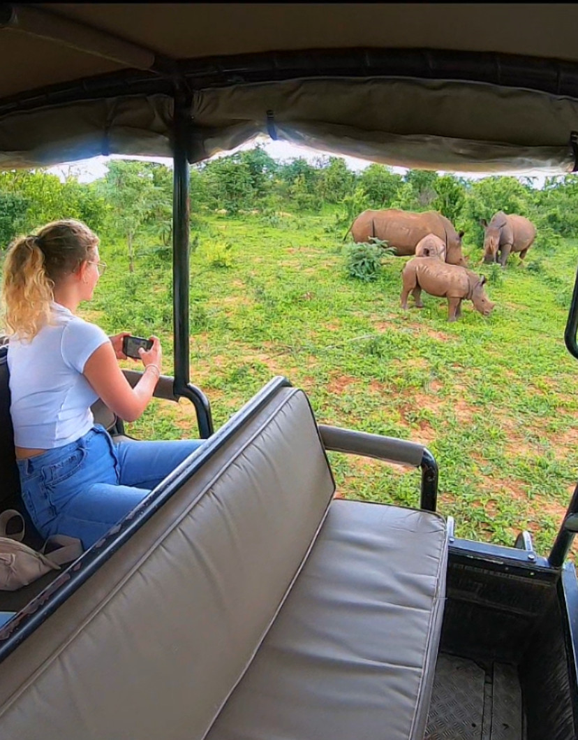 Rhino Game Drive