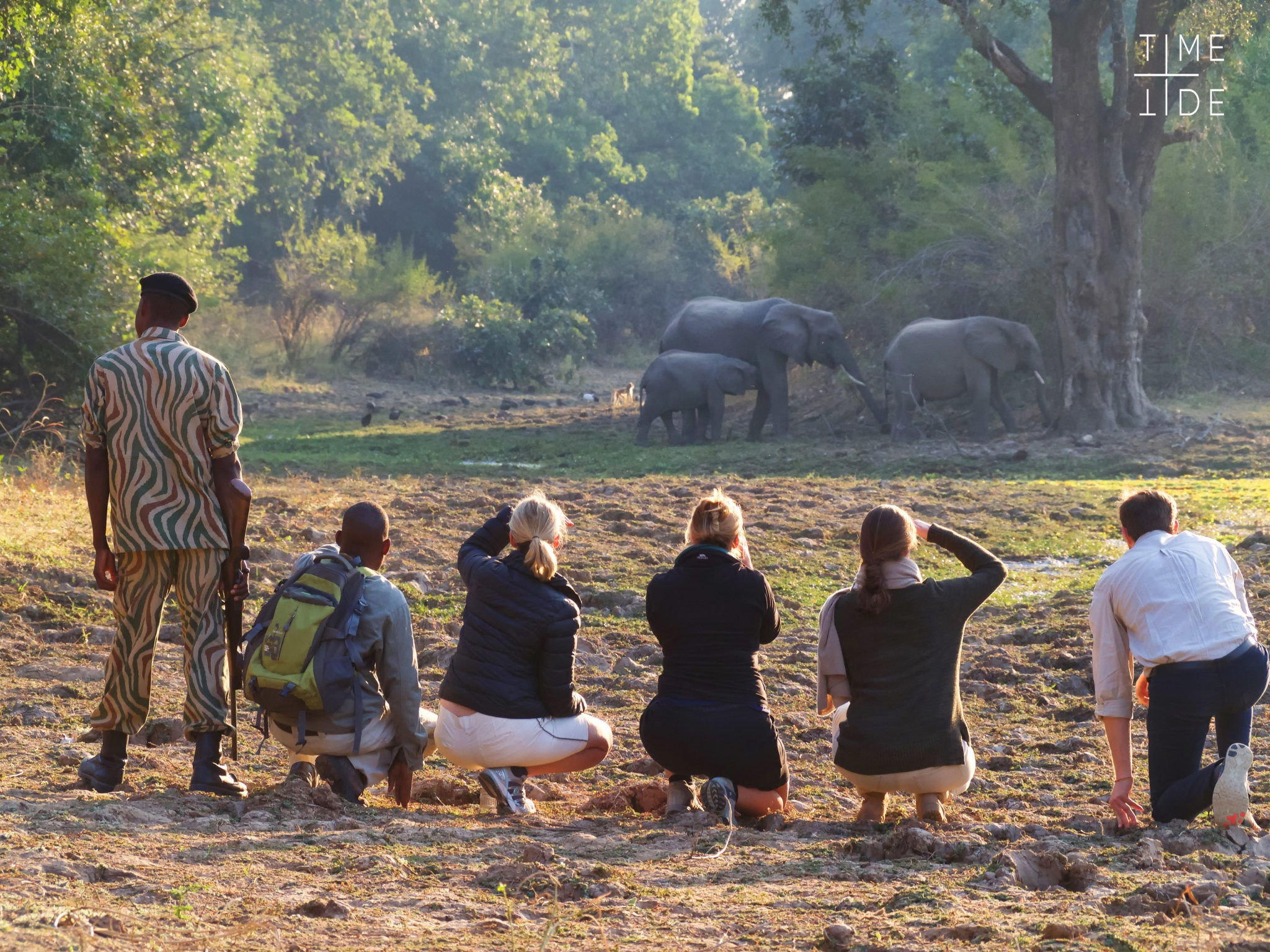 Walking Safari