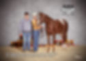 11-10-9 Living Well yearling ApHC appaloosa longe line winner.jpg