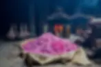kannauj-attar-making_rose_2048x.webp