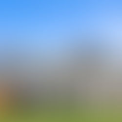 how to stop foreclosure dallas