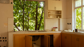 Selling a House With Water Damage or Mold in Richardson, TX — Your Practical Options