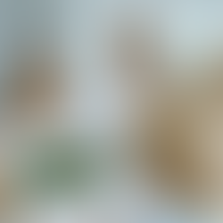 Moving Out of Texas From Arlington