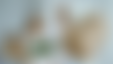 Moving Out of Texas From Arlington