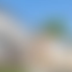 sell house with back taxes dallas