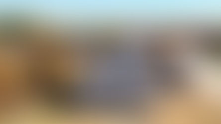 sell my house fast garland tx