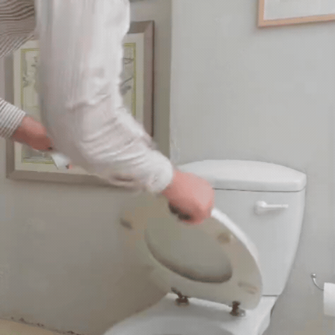 BS GIF4.gif