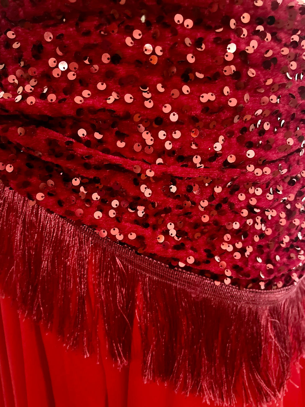 Thumbnail: Maroon Sequin Bellydance Hip Belt
